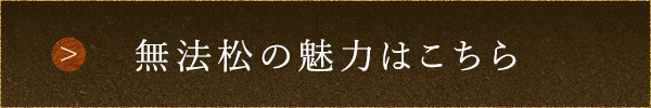 無法松の魅力はこちら